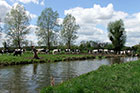 Photo from the walk - Stour Valley & Dedham from Flatford Mill