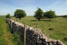 Photo from the walk - West Mendip Way & Old Ditch from Rodney Stoke