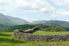 Photo from the walk - Loughrigg Fell from Skelwith Bridge