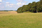 Photo from the walk - Normanton Down & Stonehenge from Great Durnford